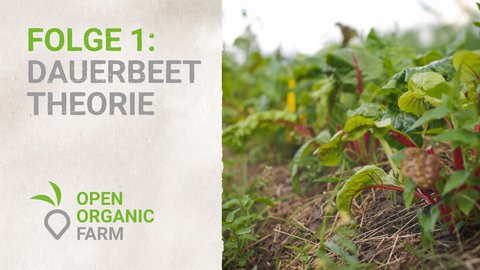 01 Dauerbeet Theorie