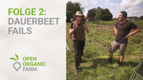 02 Dauerbeet Fails