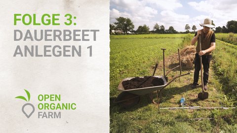 03 Dauerbeet Anlegen 1