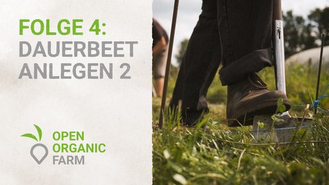 04 Dauerbeet Anlegen 2