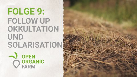 09 Follow up Solarisation