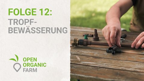 12 Tropfbewässerung