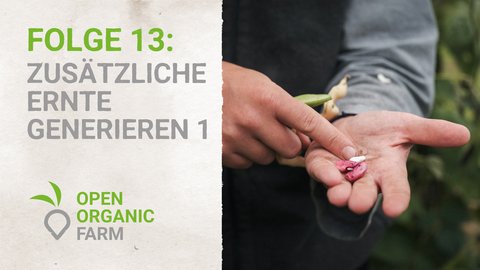 13 Zusätzliche Ernte Generieren 1