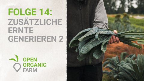 14 Zusätzliche Ernte Generieren 2