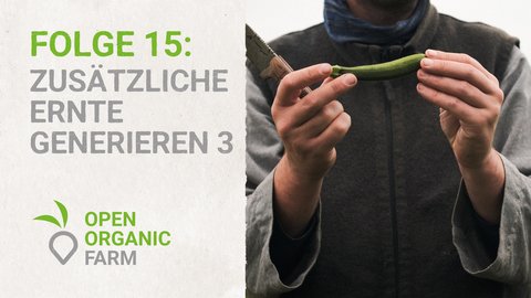 15 Zusätzliche Ernte Generieren 3