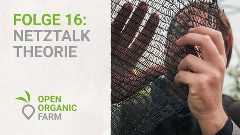 16 Netztalk Theorie