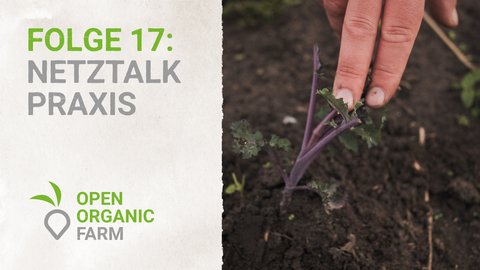 17 Netztalk Praxis