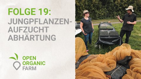 19 Jungpflanzenaufzucht Abhärtung