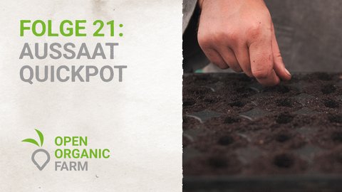 21 Aussaat Quickpot