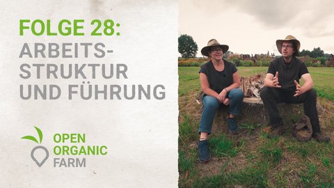 28 Arbeitsstruktur und Führung
