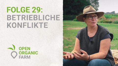 29 Betriebliche Konflikte