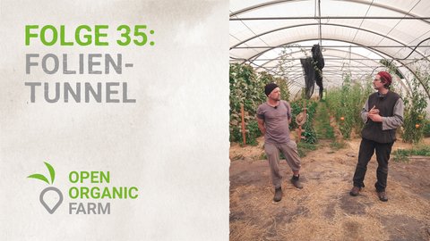 35 Folientunnel