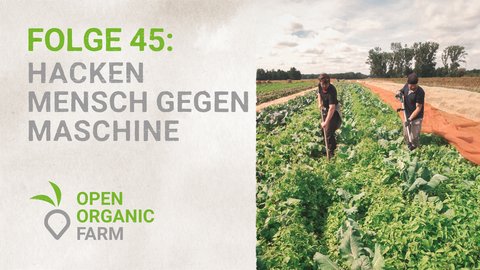 45 Hacken Mensch vs Maschine