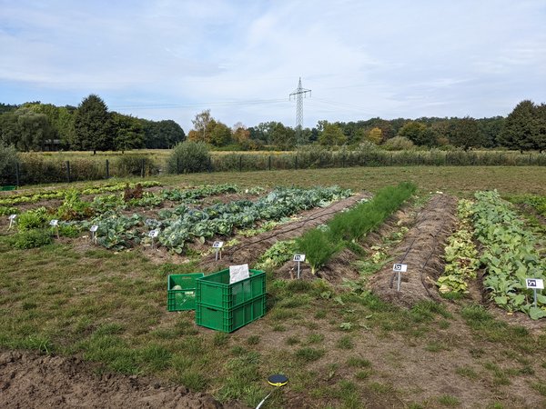 Es gibt viele verschiedene Typen von Marktgärten. Hier ein Eindruck aus dem „AI-Market Garden" des Deutschen Forschungszentrums für künstliche Intelligenz (DFKI) in der Nähe von Osnabrück.