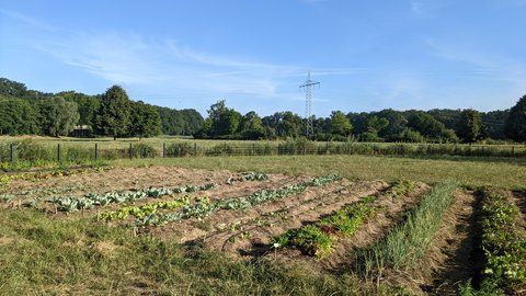 Der Weg zum eigenen Betrieb