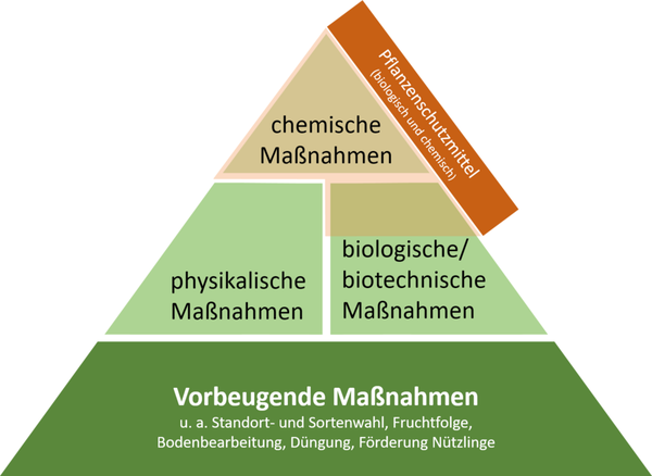 Maßnahmenpyramide für den integrierten Pflanzenschutz. © BLE