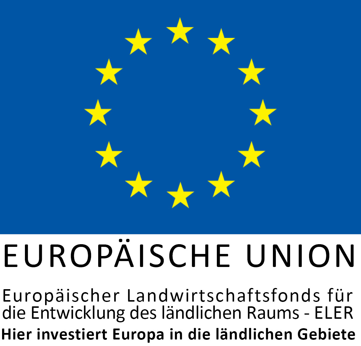 European Union Logo