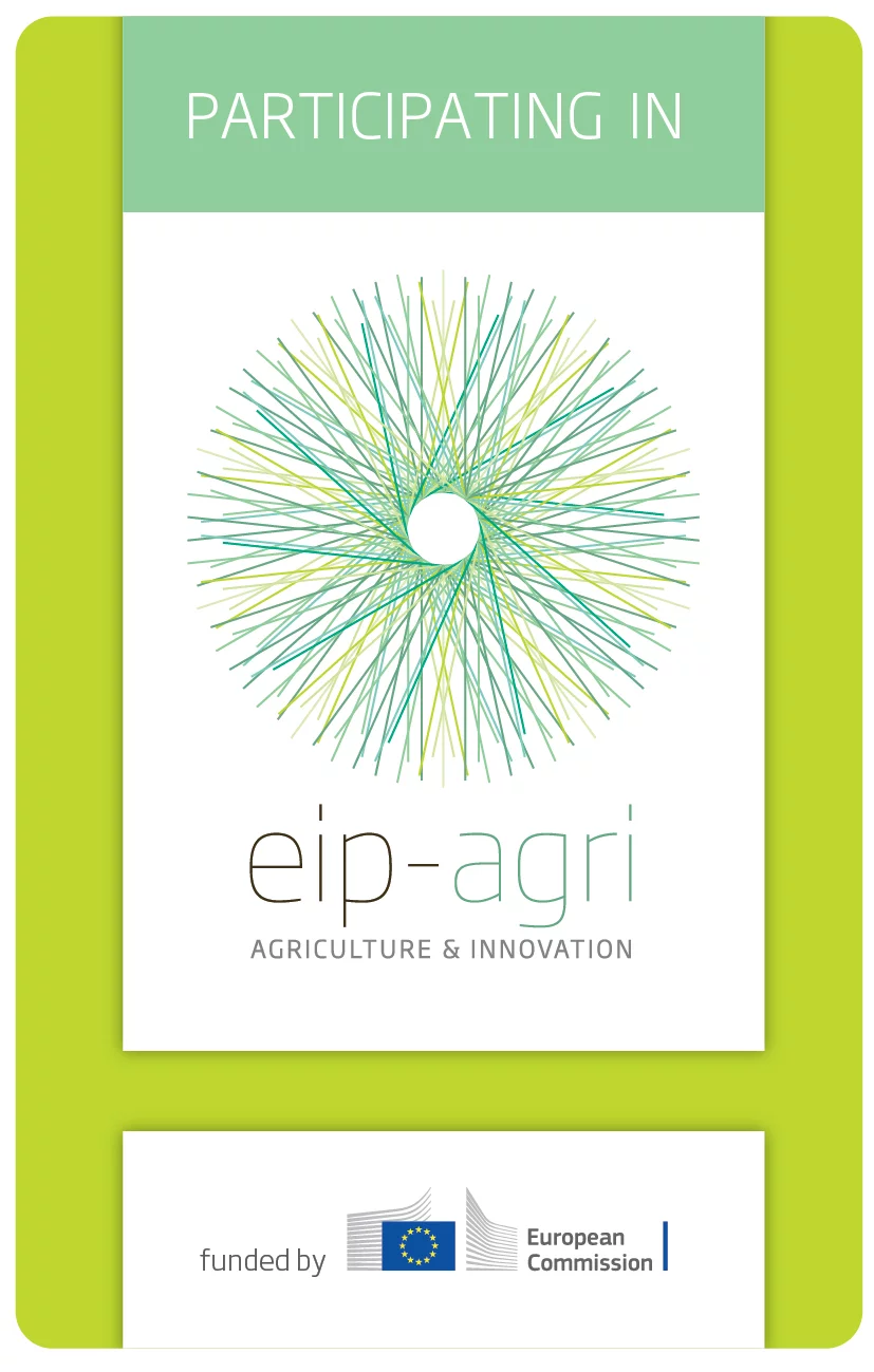 EIP Logo